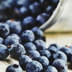 Blueberry Angustifolium