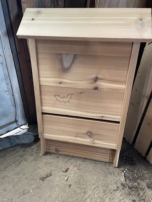 Bat
                          House