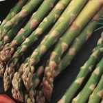 Asparagus Mary Washington