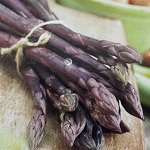 Asparagus Purple Passion