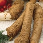 Horseradish